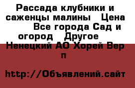 Рассада клубники и саженцы малины › Цена ­ 10 - Все города Сад и огород » Другое   . Ненецкий АО,Хорей-Вер п.